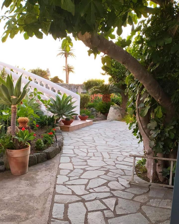 Casa Ischia Apartment Forio  ภายนอก รูปภาพ